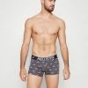 Hollister Co. SINGLE PATTERN CONVO - Panties - Grey/white | Herren