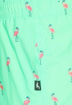 Hollister Co. CONVERSATIONAL GUARD - Badeshorts - Mint | Herren -Hollister Co Verkäufe 2022 5229bceb07a54b97b8c7b70af851ea61