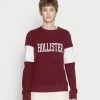 Hollister Co. SECONDARY CORE LOGO - Sweatshirt - Burg | Damen -Hollister Co Verkäufe 2022 55700239a2894627a8a3e939bcb9ea7e