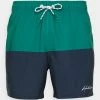 Hollister Co. BLOCKING GUARD - Badeshorts - Green/black | Herren -Hollister Co Verkäufe 2022 65f69819a5b9451fb8f886fe77cd6618