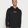 Hollister Co. SOLID SCRIPT - Sweatshirt - Black | Herren