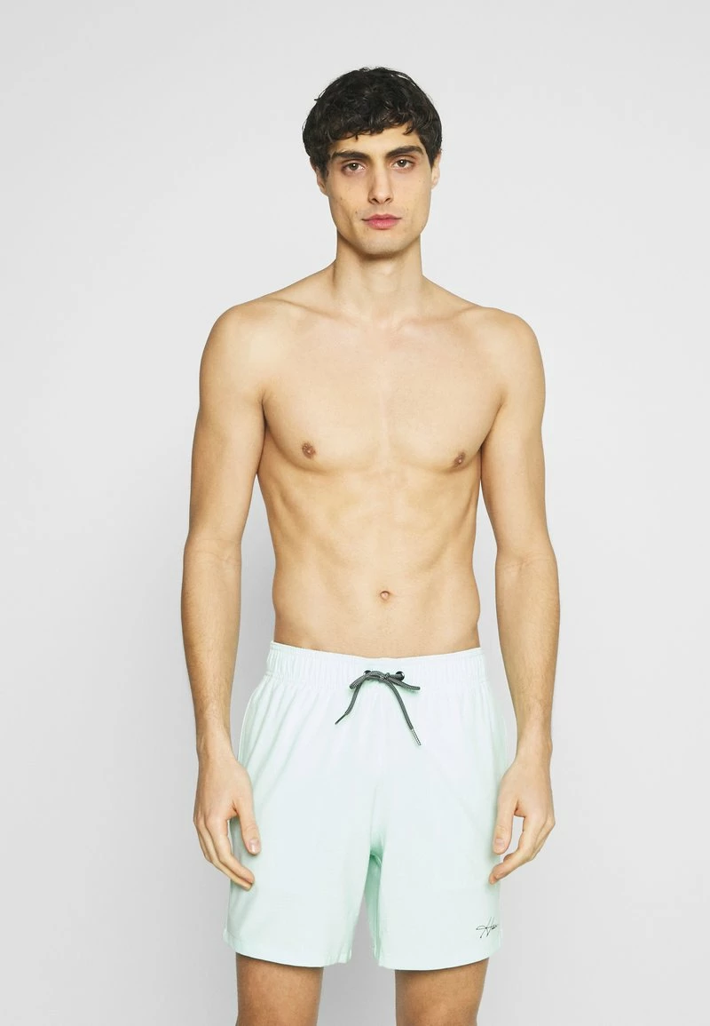 Hollister Co. SOLID GUARD - Badeshorts - Mint | Herren 4 Hollister Co. SOLID GUARD - Badeshorts - Mint | Herren – Bild 2