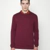 Hollister Co. CORE CREW - Strickpullover - Burg | Herren