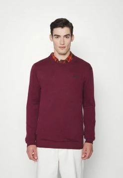 Hollister Co. CORE CREW - Strickpullover - Burg | Herren