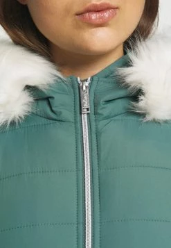Hollister Co. CORE PUFFER - Winterjacke - Silver Pine | Damen -Hollister Co Verkäufe 2022 982a38b6facd47c2ad334753ea2fffc7