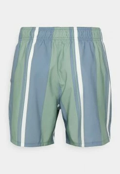 Hollister Co. ELEAVTED ESSENTIALS - Badeshorts - Green/navy | Herren -Hollister Co Verkäufe 2022 bcc704494069437d9a6c4efc97ad87a6