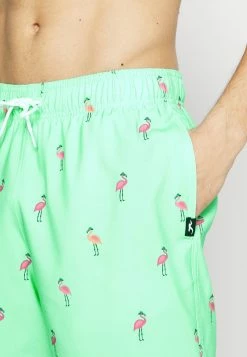 Hollister Co. CONVERSATIONAL GUARD - Badeshorts - Mint | Herren -Hollister Co Verkäufe 2022 c10036d736234e4487664c4031490d3a
