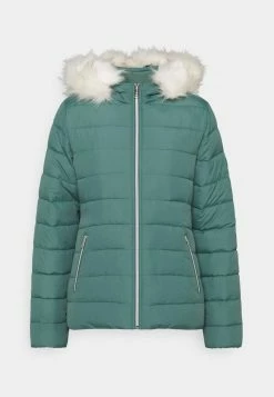 Hollister Co. CORE PUFFER - Winterjacke - Silver Pine | Damen -Hollister Co Verkäufe 2022 ce6932a85ec44475b94f3b7dfdc140db