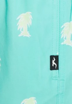 Hollister Co. WEBEX CONVO GUARD - Badeshorts - Mint | Herren -Hollister Co Verkäufe 2022 d3923076e276433cb536030ebc41a0f5