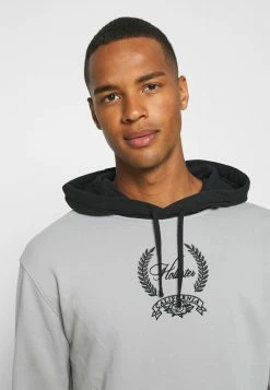 Hollister Co. CREST BLOCKED - Sweatshirt - Flat Grey Blocking | Herren -Hollister Co Verkäufe 2022 e1e61b9e088a4e1c9435e1e980d0a050