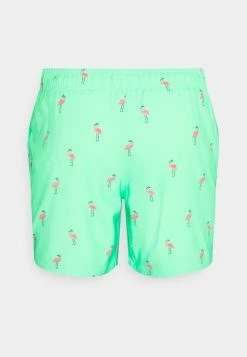 Hollister Co. CONVERSATIONAL GUARD - Badeshorts - Mint | Herren -Hollister Co Verkäufe 2022 edfb4f839fa54d6aa493e7196a691a35