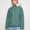 Hollister Co. CORE PUFFER - Winterjacke - Silver Pine | Damen